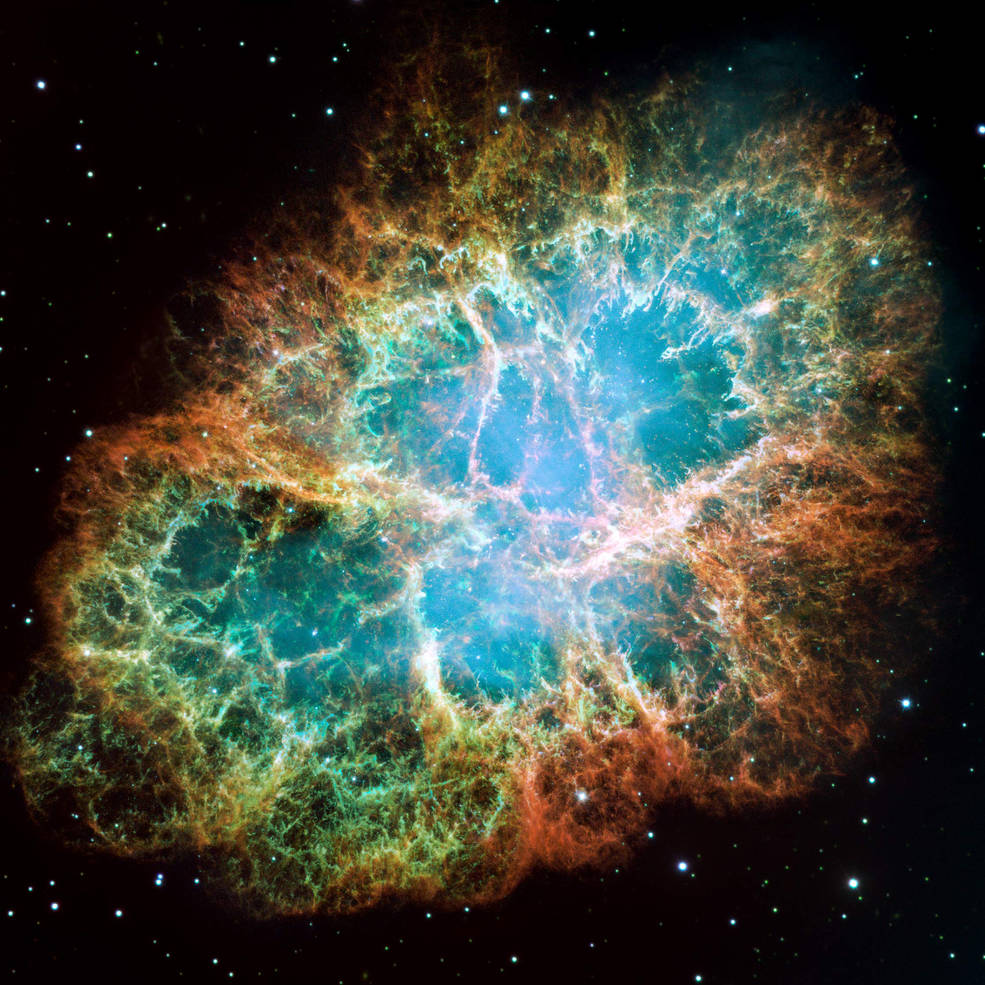 An image of the Crab Nebula.